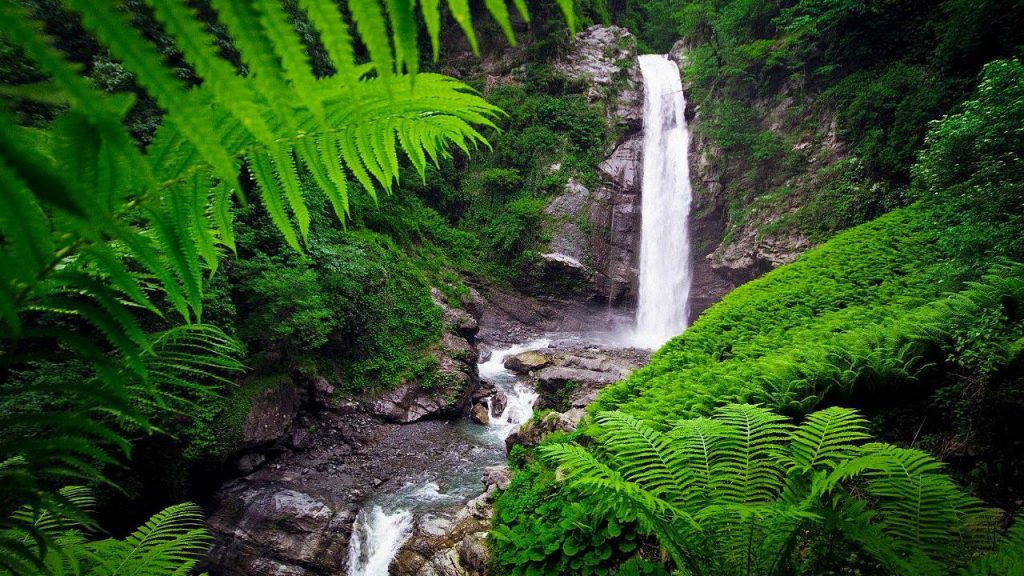 Водопад Цаблнари, Национальный парк Мтирала, Батуми, Грузия