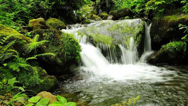 Водопады в национальном парке, Национальный парк Мтирала, Батуми, Грузия